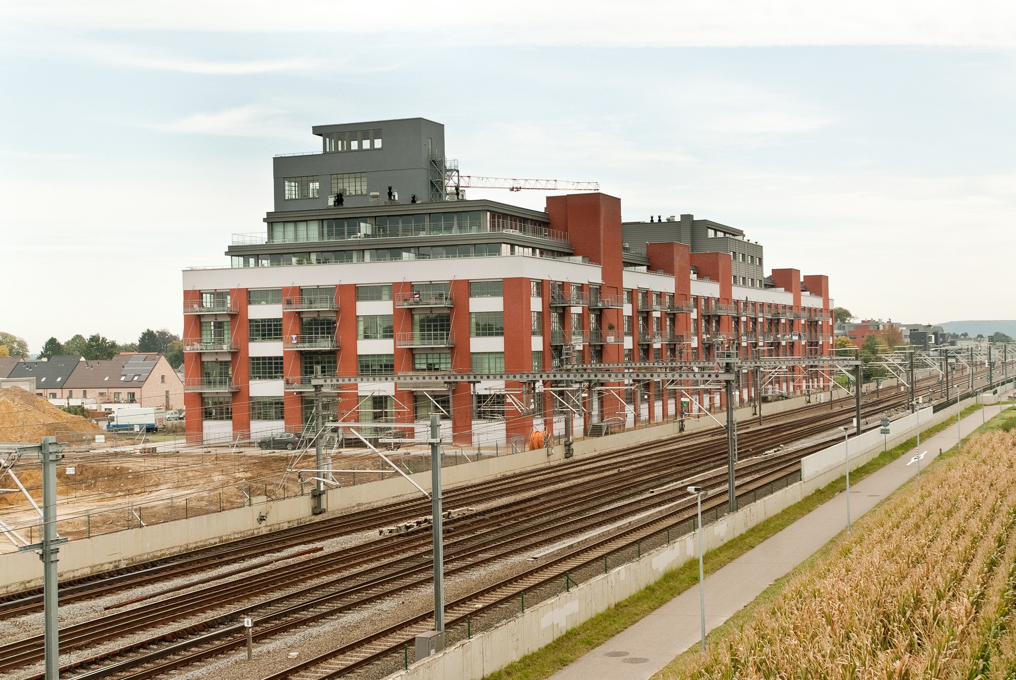 Plytos Nelissen Passion Spanish red - Image 3