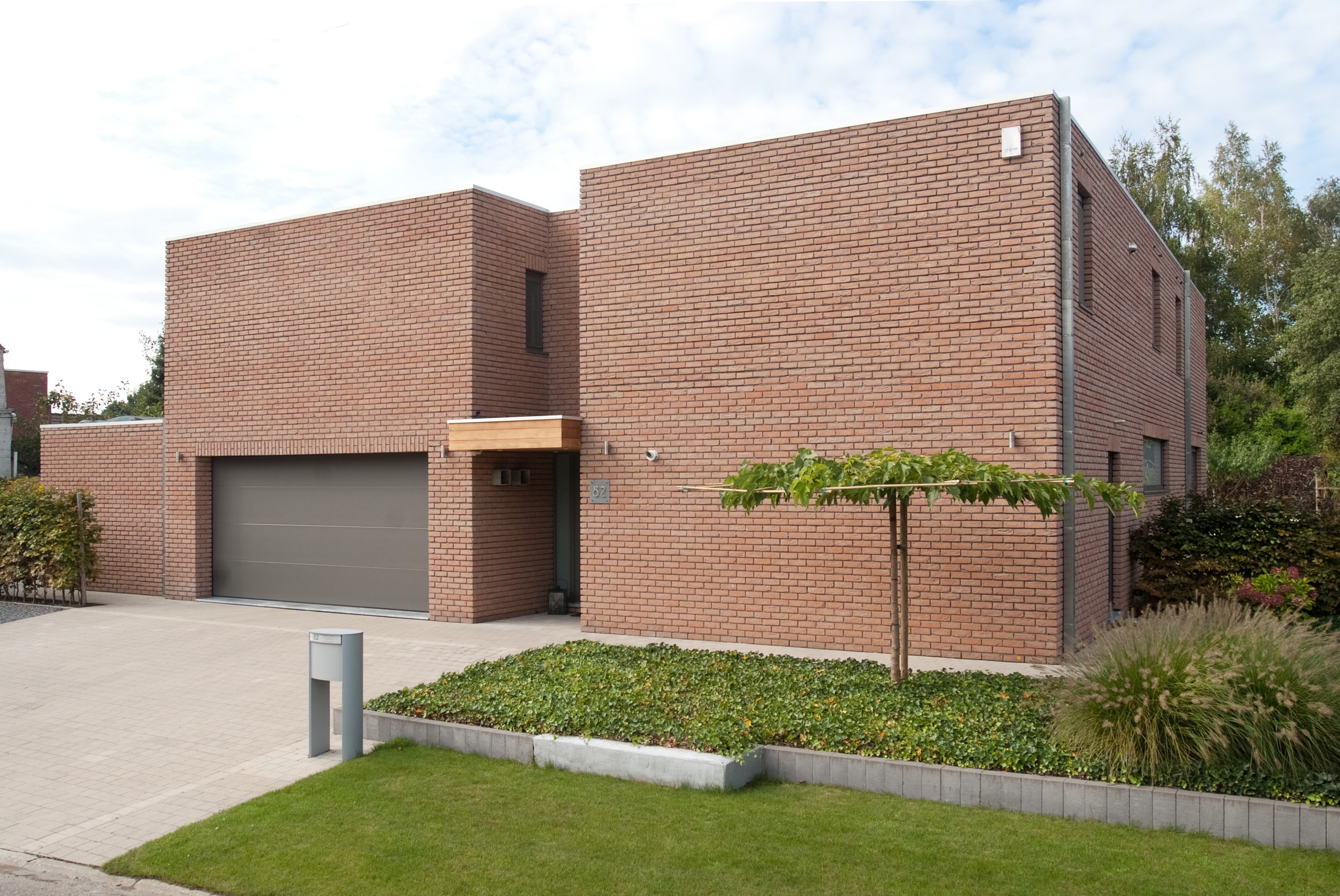 Plytos Nelissen Pastel Rosado - Image 8