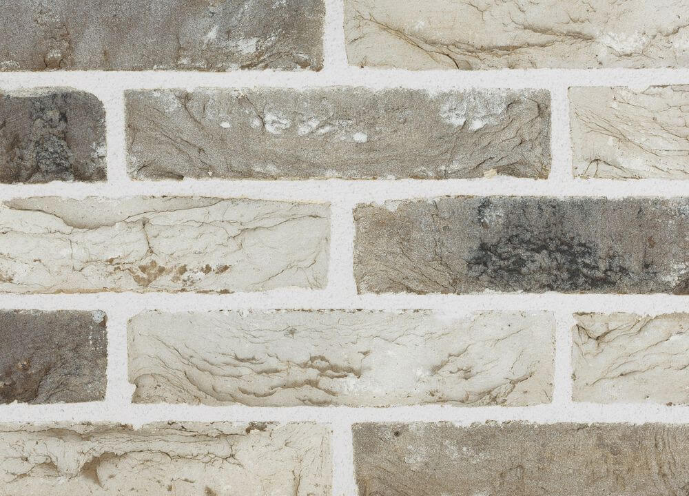 Plytos Santanselmo VTB +MIB