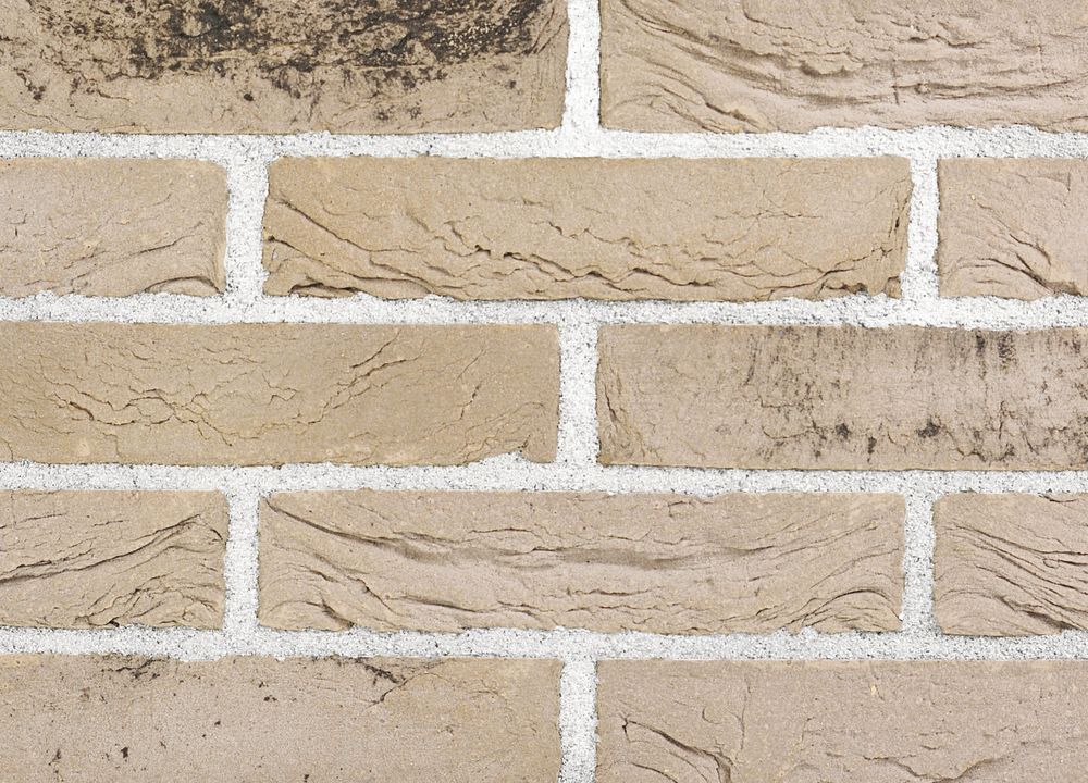 Plytos Santanselmo Vintage Bruciato Selmo