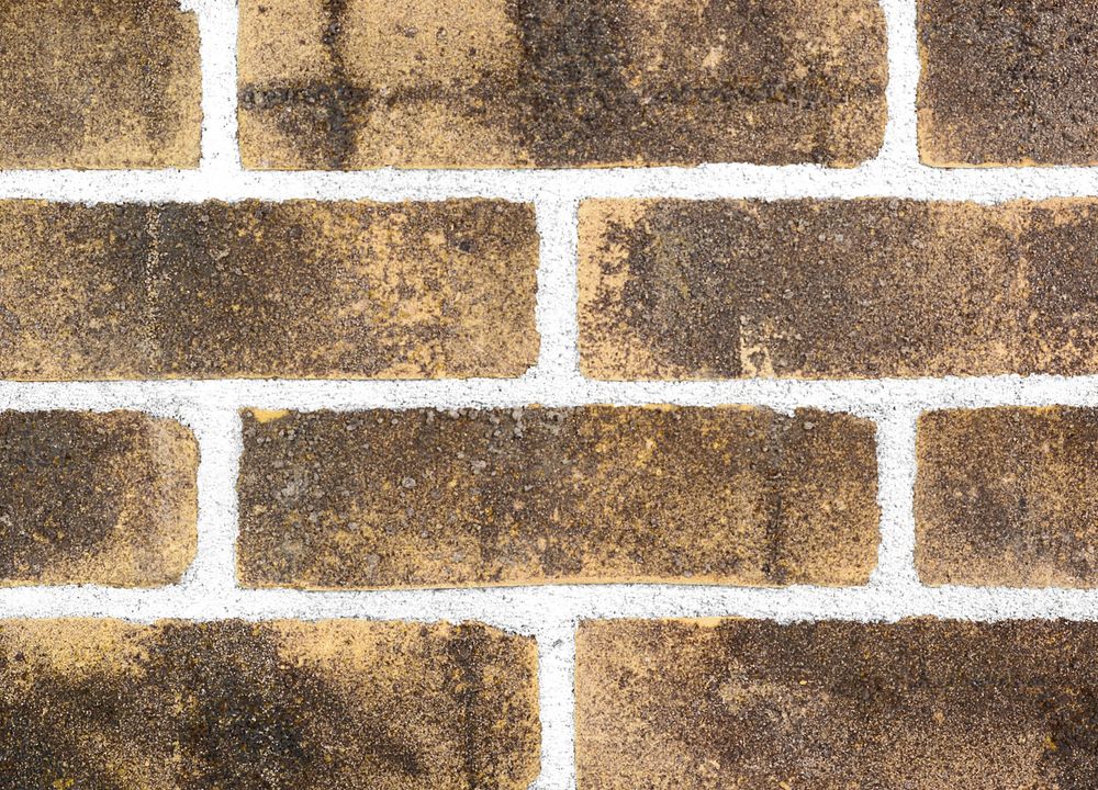 Plytos Santanselmo Bruciato Standard