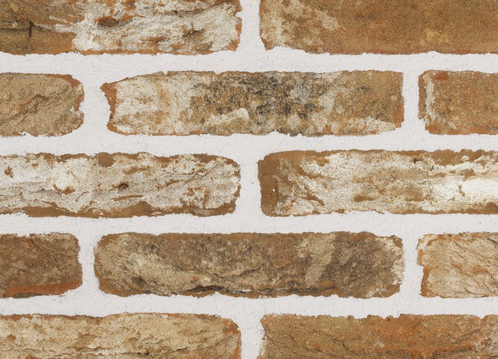 Plytelės Santanselmo DDMWA