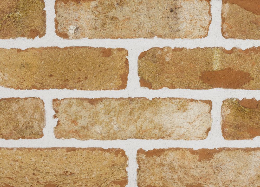 Plytelės Santanselmo ECWA