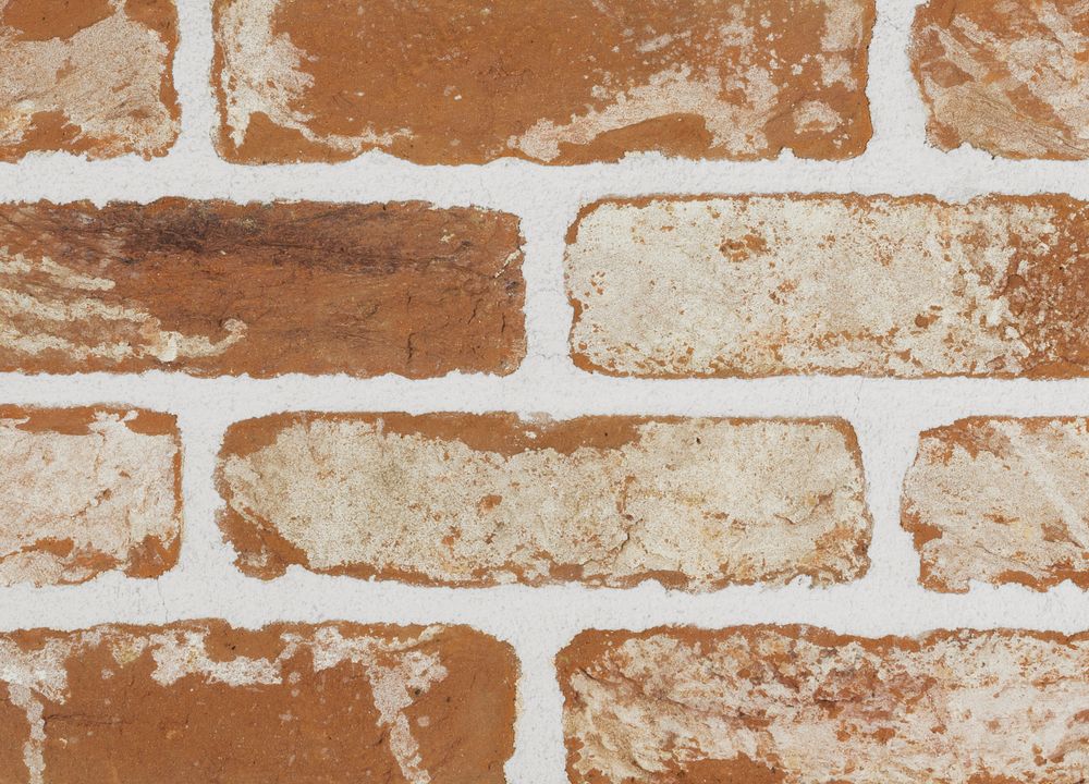 Plytelės Santanselmo MNCWA