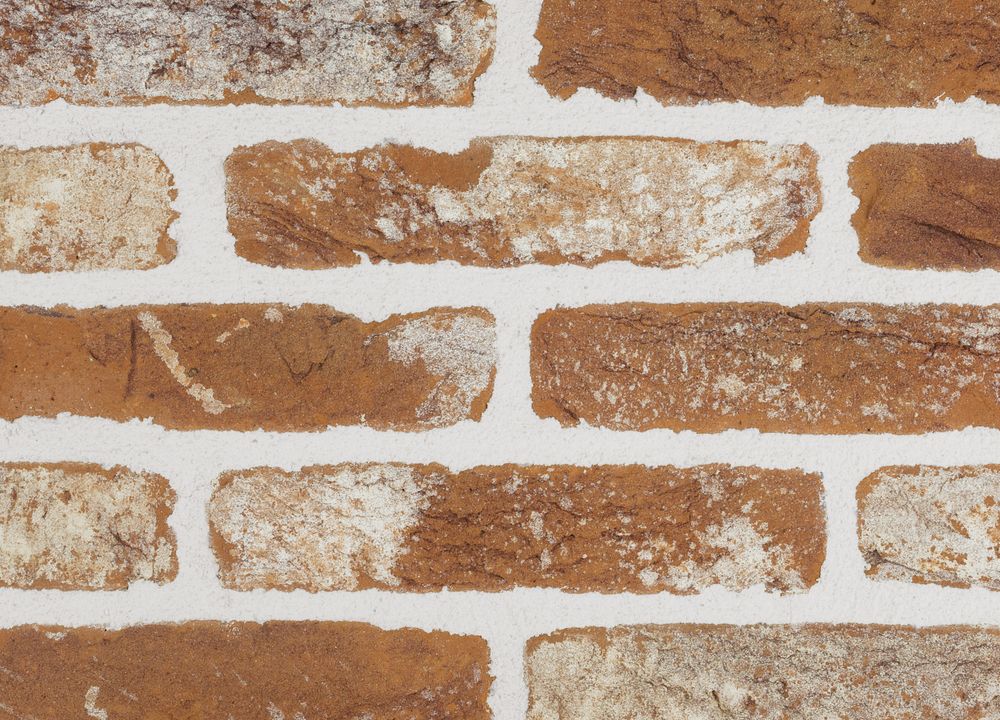 Plytelės Santanselmo PGWA