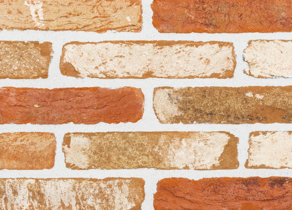 Plytos Santanselmo Sherwood