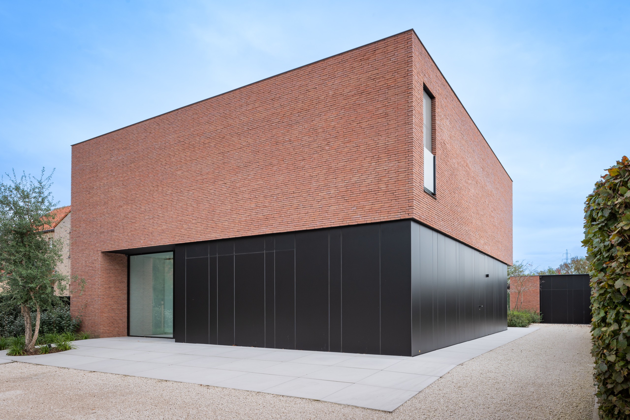 Plytos Nelissen Pastel Rosado - Image 3