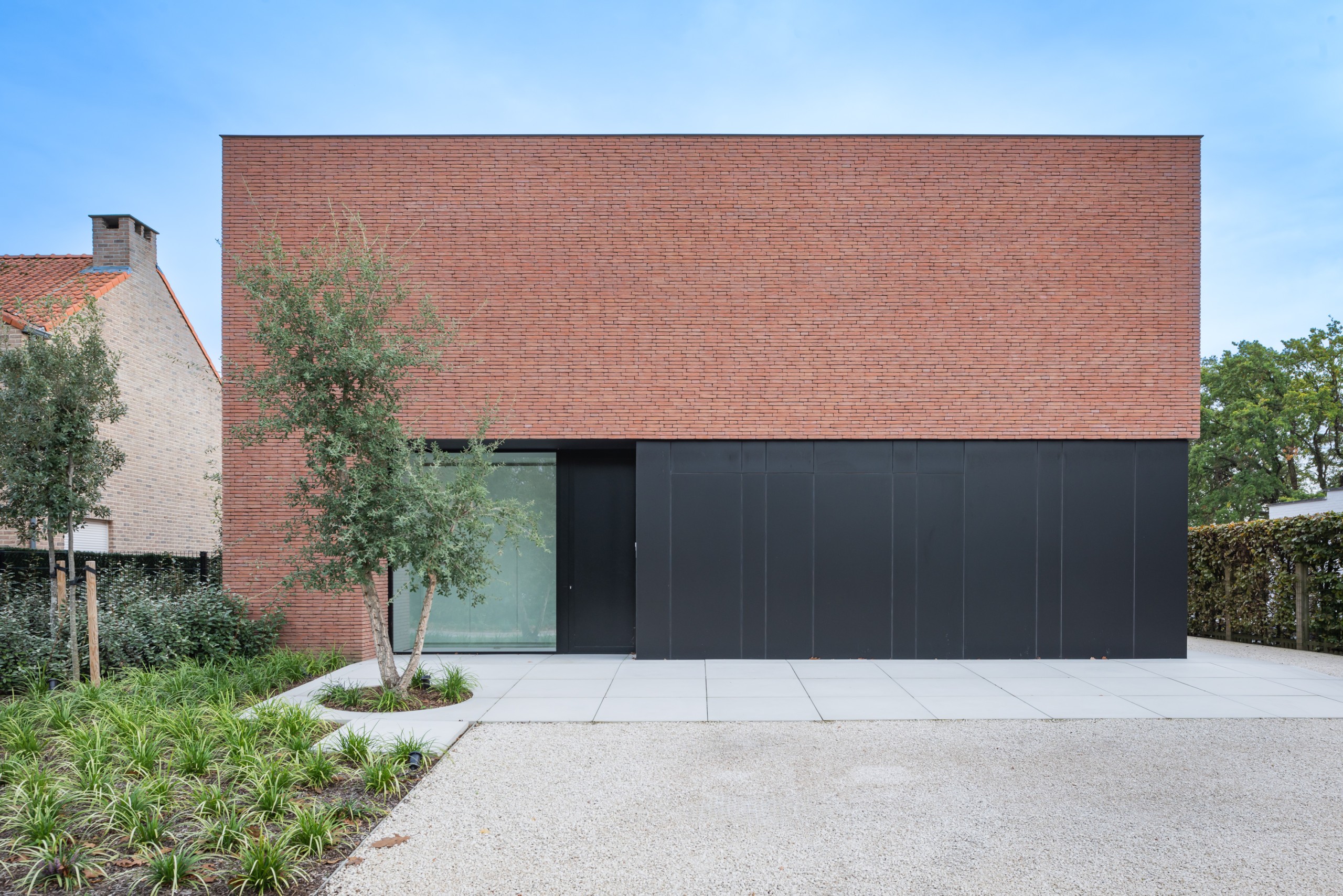 Plytos Nelissen Pastel Rosado - Image 2