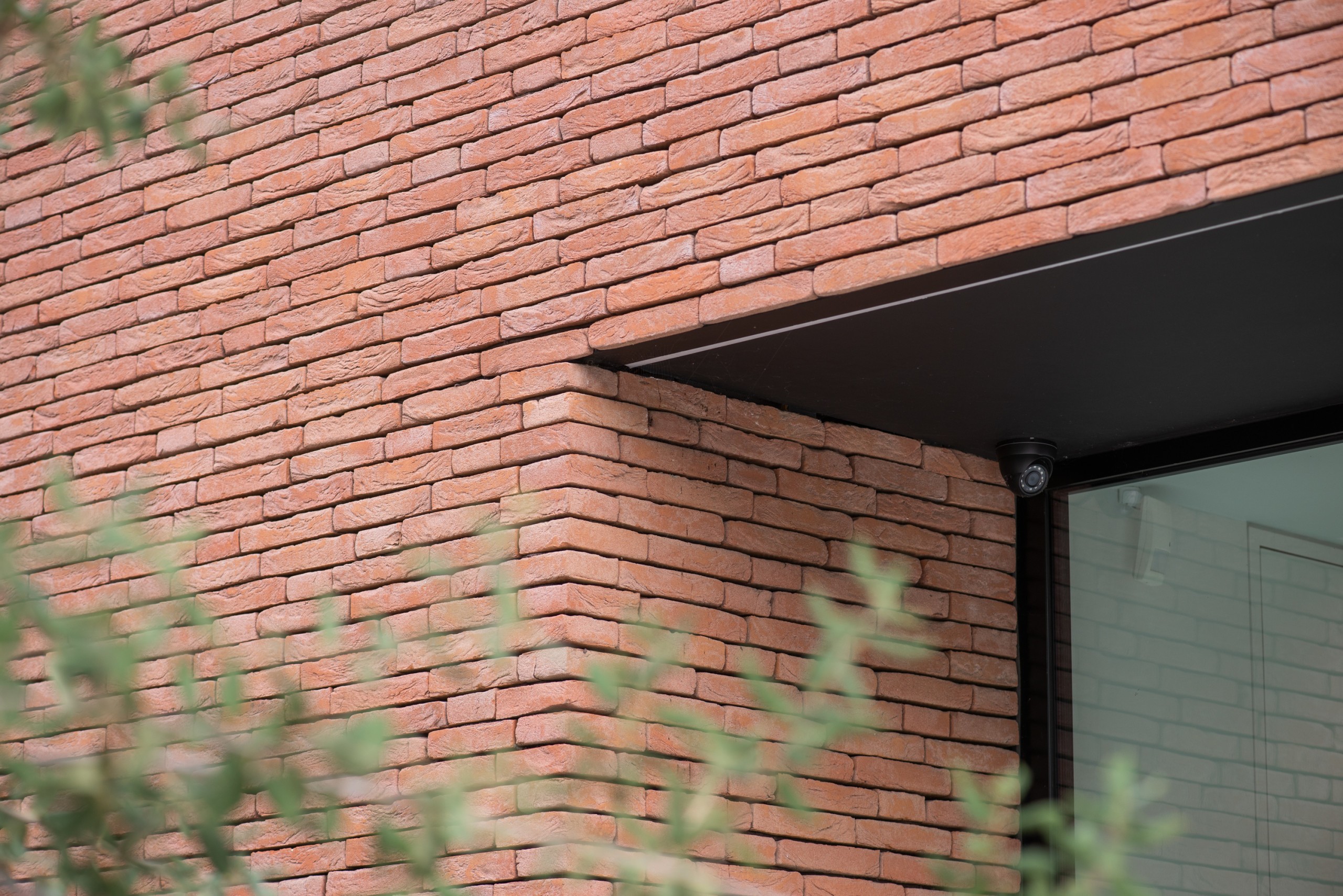 Plytos Nelissen Pastel Rosado - Image 4