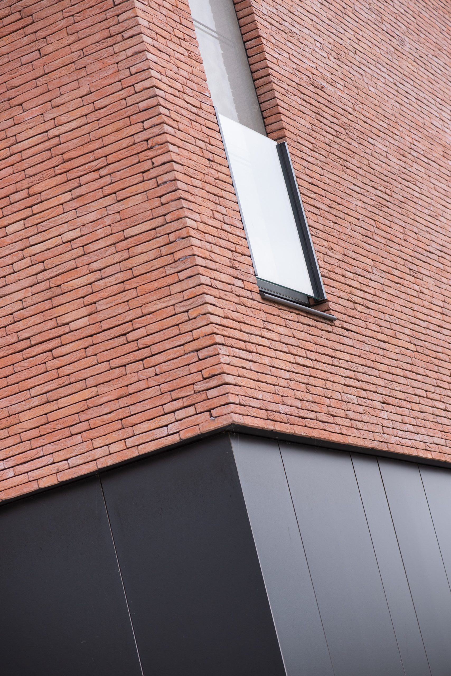 Plytos Nelissen Pastel Rosado - Image 5