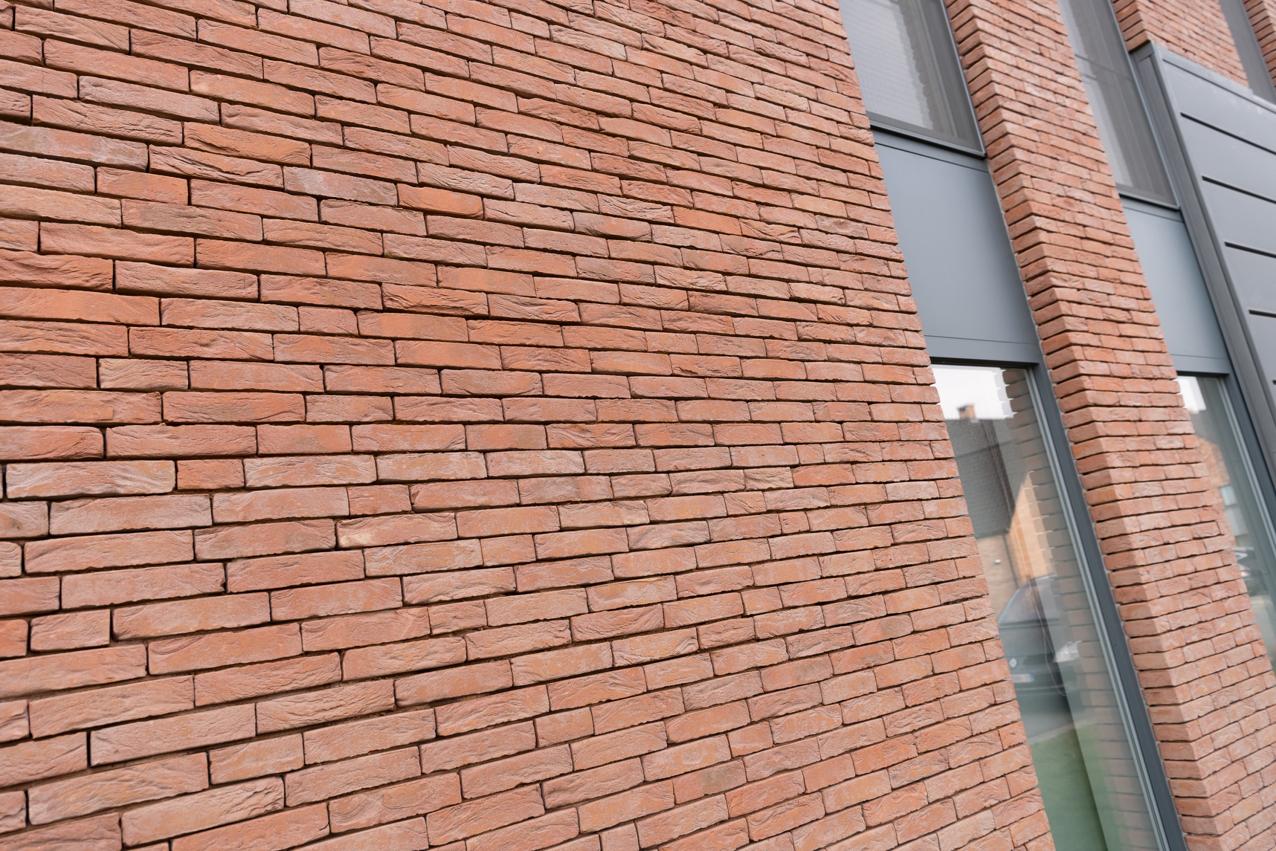 Plytos Nelissen Pastel Rosado - Image 6