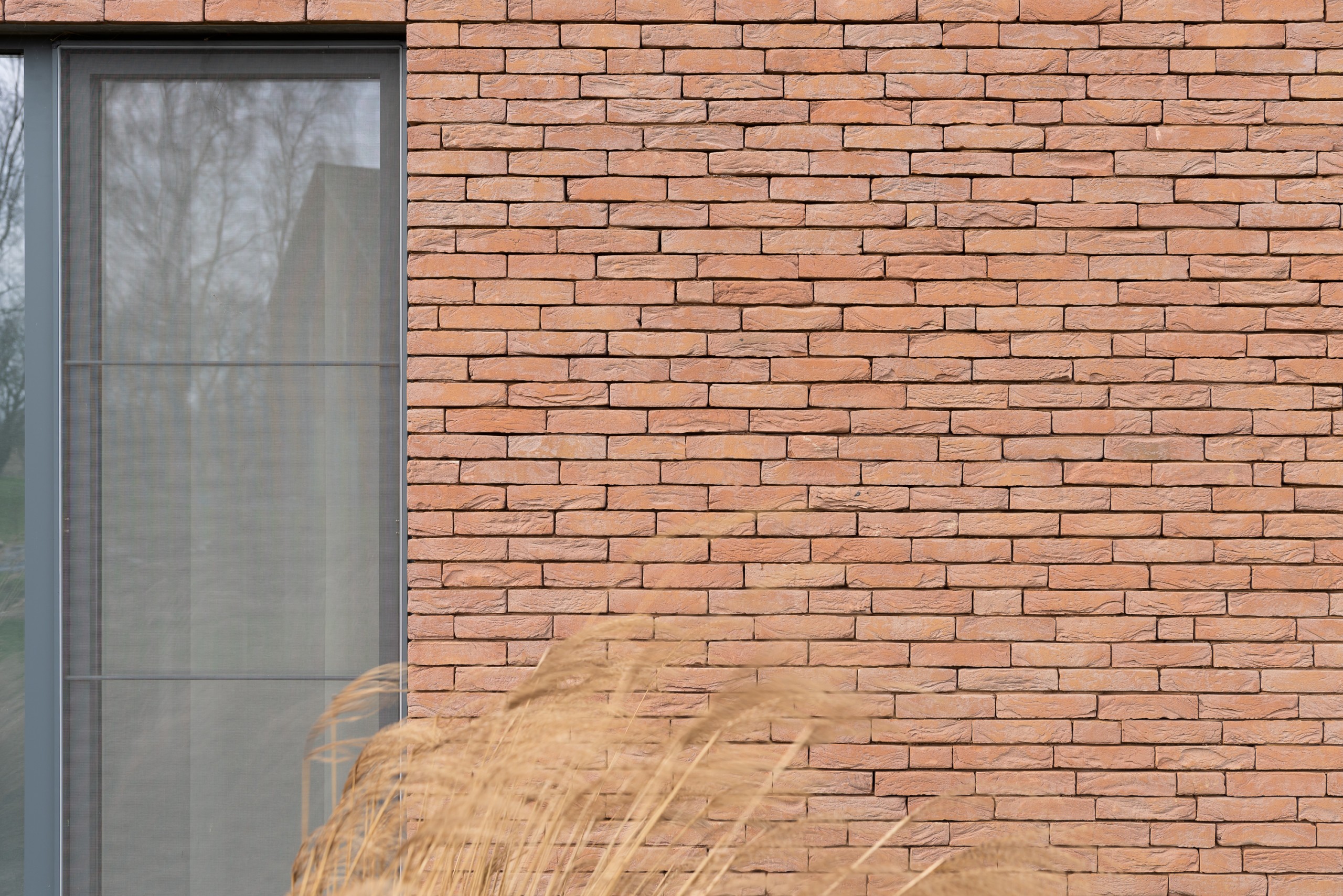 Plytos Nelissen Pastel Rosado - Image 7