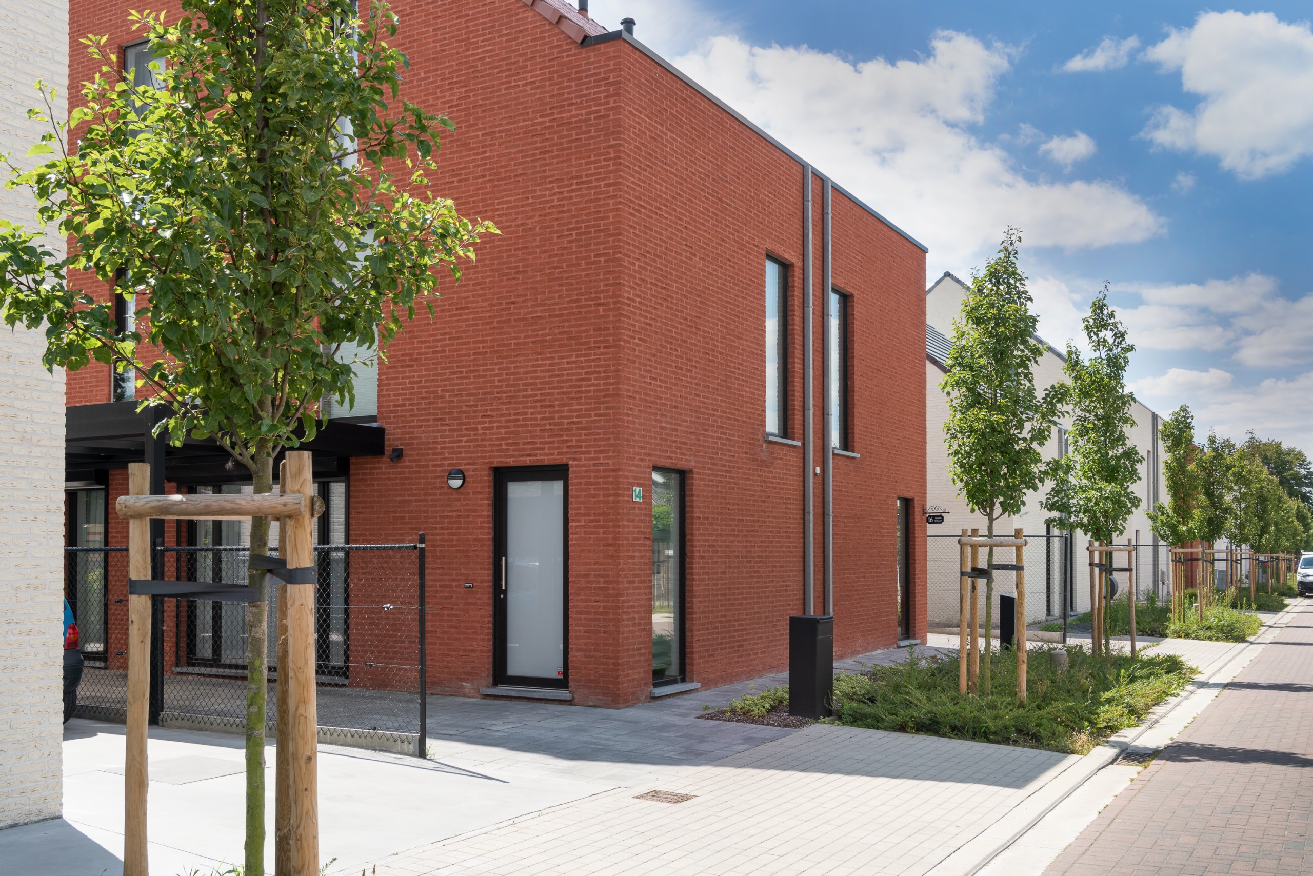 Plytos Nelissen Passion Spanish red - Image 5